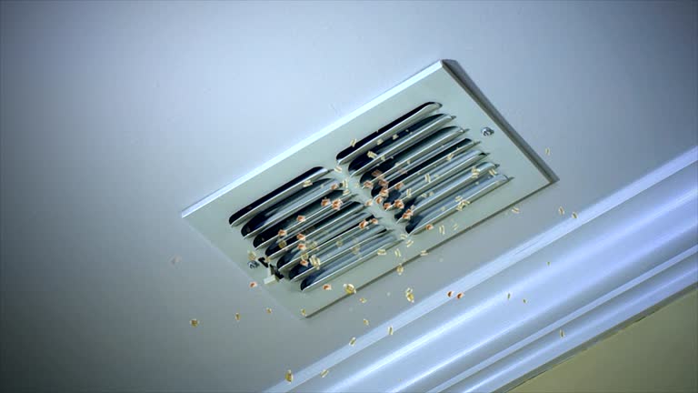Best Air Duct Cleaning Near Me in North Gates, NY